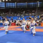 karate 1